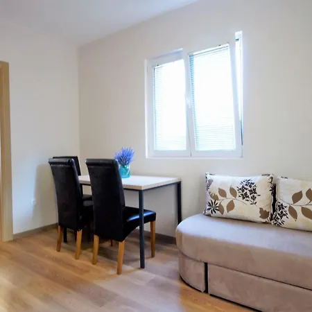 Apartment Bracanovic *